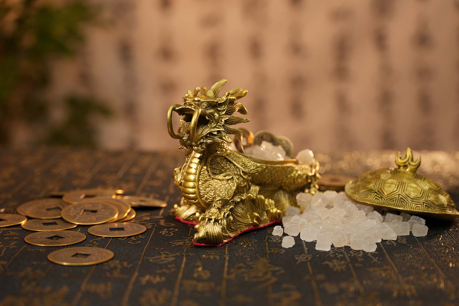 吉祥财运龙龟
